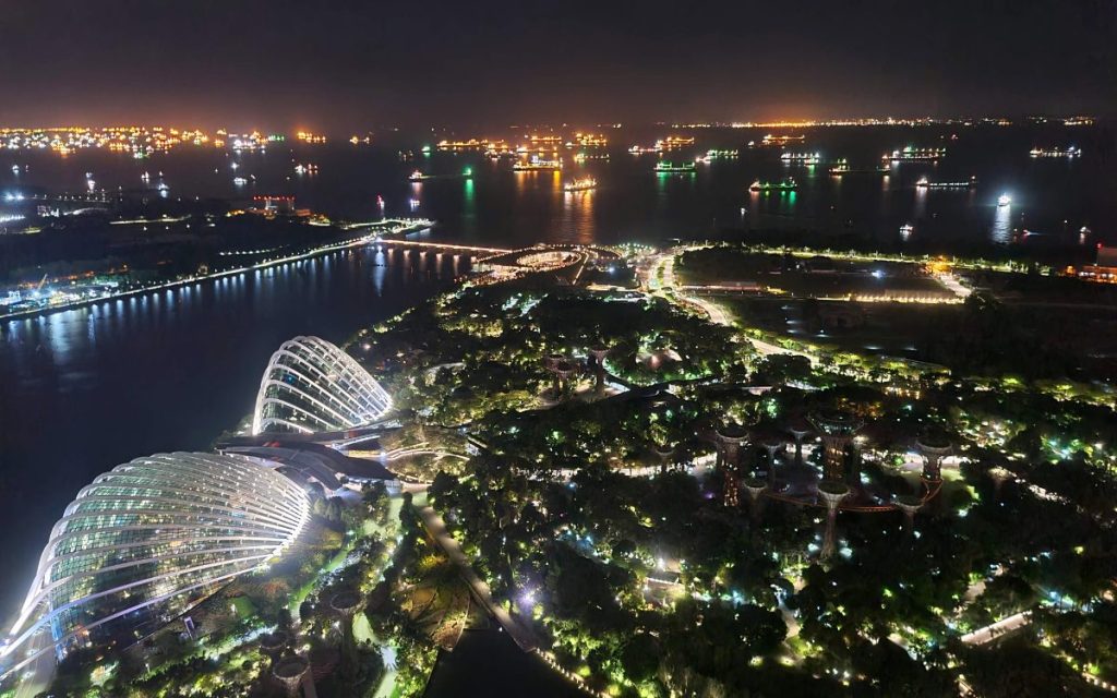 Singapore's Gardens by the Bay as seen from Marina Bay Sands at night